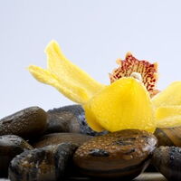 Beauty-Wahlangebot Pension-Schmidt